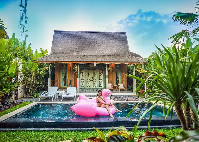 Kubu Kayu *